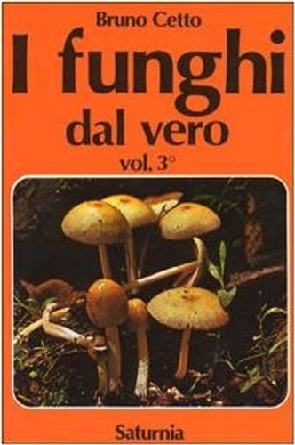 Libro bruno cetto - -,