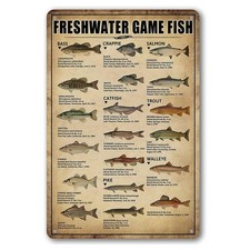 Fishing Wall Decor Rustic