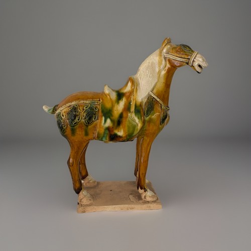 Cavallo artistico - cavallo, in