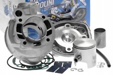 POLINI Gruppo termico Motore 80cc Liquido 133.1009 Minarelli AM6 50mm HM Fantic
