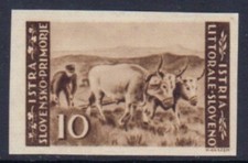 ITALY - LITORALE SLOVENO  S. 58a  1000$ SIGNED CHIAVARELLO +BIOMDI UNPERF  MNH**