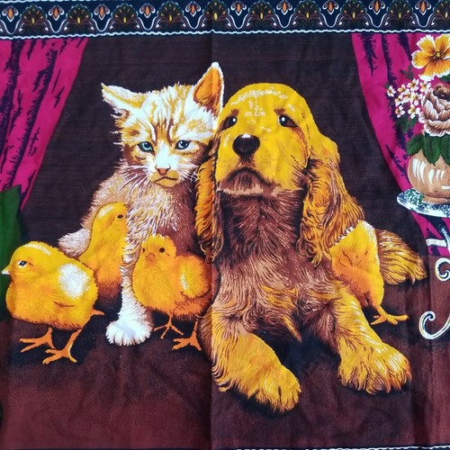 Appeso parete per cani - parete,