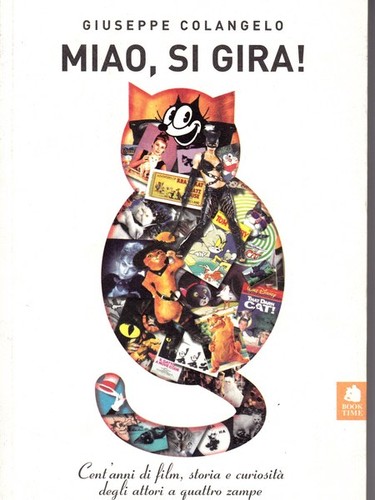 Miao gira - si, gira!
