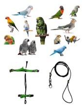 Pettorina pappagalli CONURO DEL SOLE elastica collo 3MM attacchi acciaio sganc