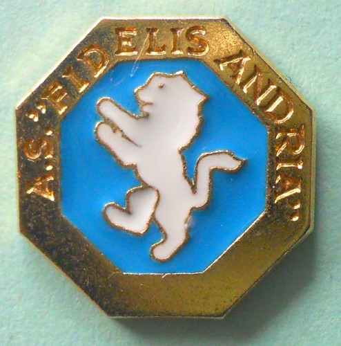Distintivo spilla pin - badge,