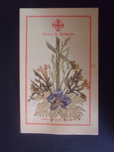 Santino con fiori terra - fiori, di