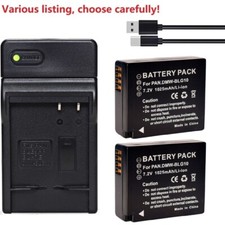 Batteria o caricabatteria