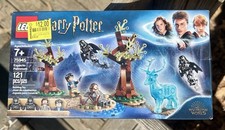 LEGO Harry Potter Expecto