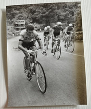 fo4562,foto originale,personaggi famosi,ciclismo,felice gimondi,51 giro d'italia
