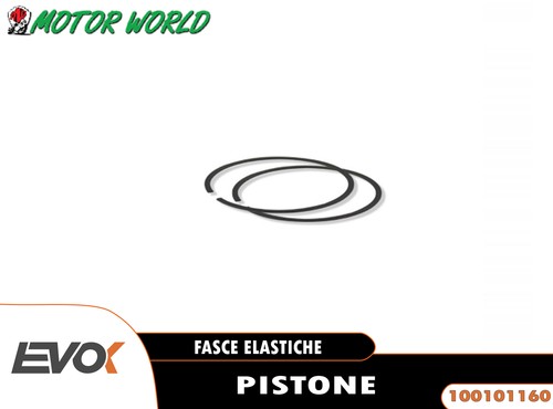 Fasce elastiche pistone 55mm - fasce,