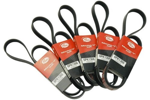 Cinghia multicoste gates - multicoste,