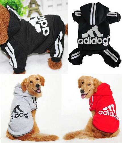 Abbigliamento cane animale