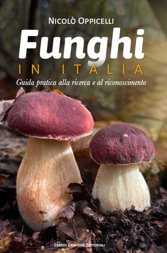Libri nicolã oppicelli - libri, nicolÃ²