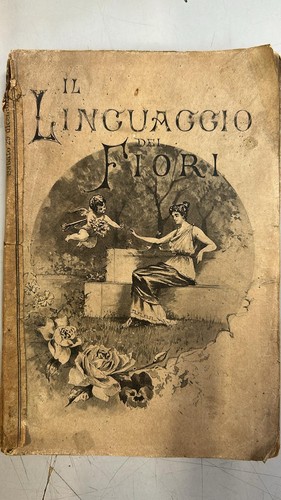 Linguaggio dei fiori 1898 - linguaggio,