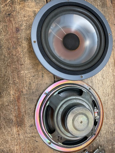 Coppia altoparlanti woofer