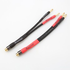 2pcs Cavo Altoparlante RCA