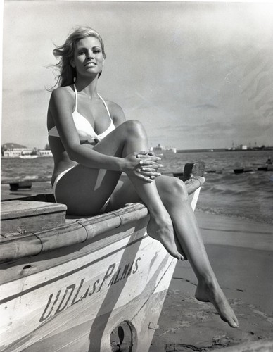 Raquel welch sexy busty leggy - welch,