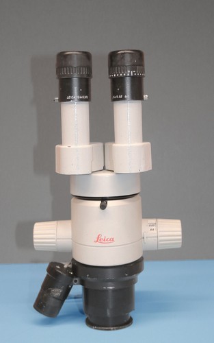 Microscopio stereo leica - microscopio,