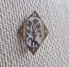 Spilla Distintivo UFFN Unione Famiglie Numerose Italia Guerra