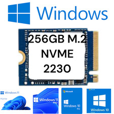 M.2 SSD 256GB NVME con Windows