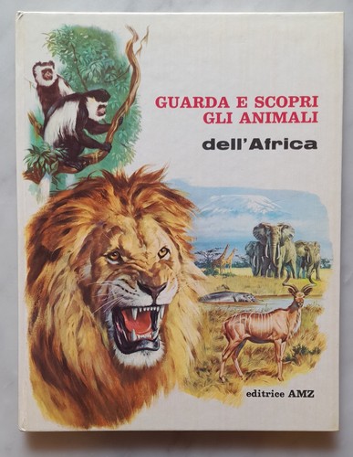 Editrice amz guarda - amz, e