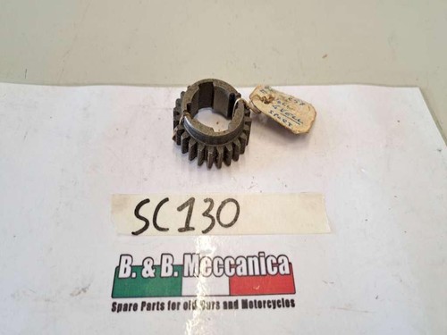 Ingranaggio denti 1 - 24,