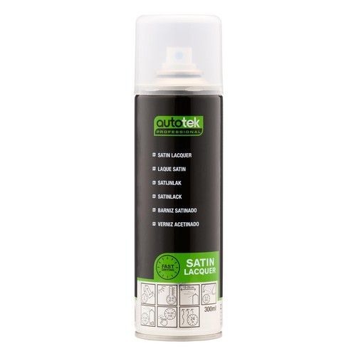 Vernice spray aerosol