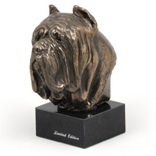Mastino Napoletano Head On