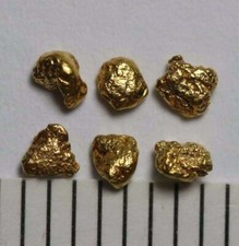6 PEPITE D'ORO - PEPITE D'ORO