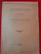 1686.BB.   IN MEMORIA DEL PROF. STEFANO PAGLIANI