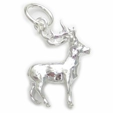 Ciondolo in argento sterling