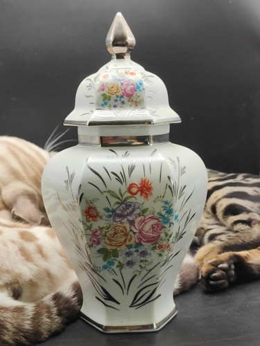 Urna vaso zenzero porcellana