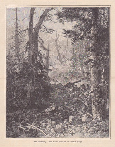 Wildschütz wildieb - il,