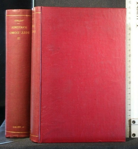 Anatomia dell uomo - anatomia, vol