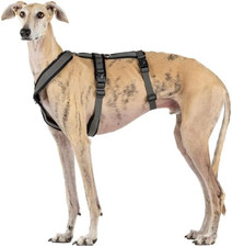 Imbracatura a 3 Punti