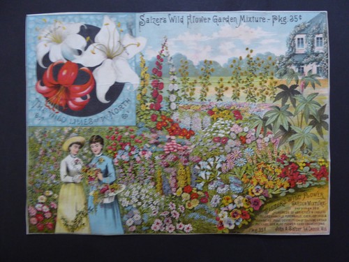 C1890 salzer seeds - salzer's,
