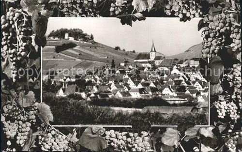 Weinsberg uva fedele alle