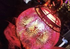 Scentsy scaldaragnatela zucca - scaldaragnatela,