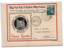 Lana di Gatto - Busta Pubblicitaria BLP Repiquage