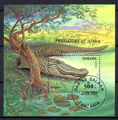 Animali coccodrillo tanzania - animali,