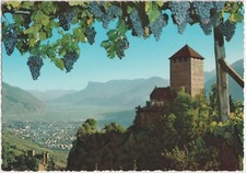 MERANO CASTEL TIROLO - MERAN  - UVA VINO (BOLZANO) 1968