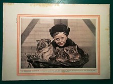 Fotografia vintage GERMANIA 1920 BIMBO CUCCIOLI DI LEONE da L'ALLEMAGNE MODERNE