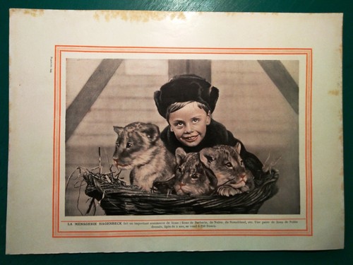 Fotografia vintage germania - vintage,