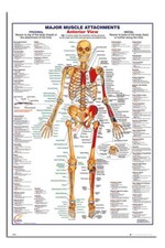 88505 Poster Stampa Parete