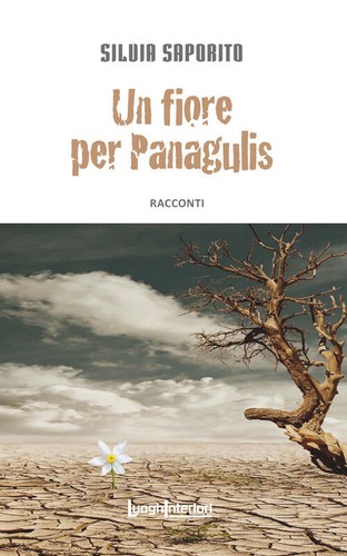 Libri silvia saporito un - libri,
