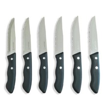 Set 6 coltelli professionali