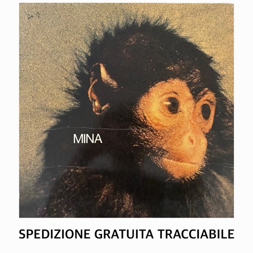 Vinile disco giri - disco, lp