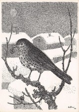 34-6A) CARTOLINA ILLUSTRATORE