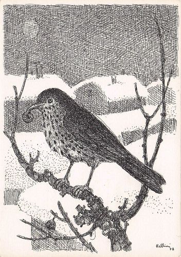 Cartolina illustratore - cartolina,