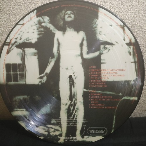 Marilyn manson vinyl - vinyl, record